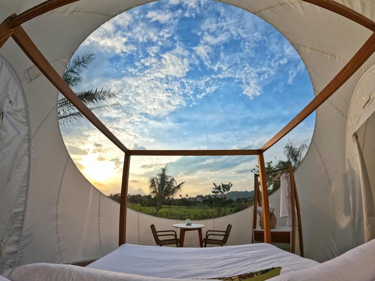 Green Land Bubble Glamping By Mint Кабарете Экстерьер фото