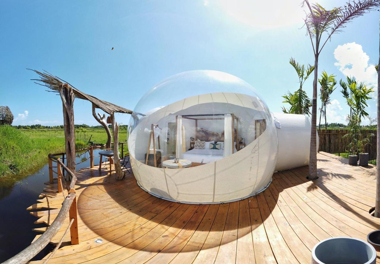 Green Land Bubble Glamping By Mint Кабарете Экстерьер фото