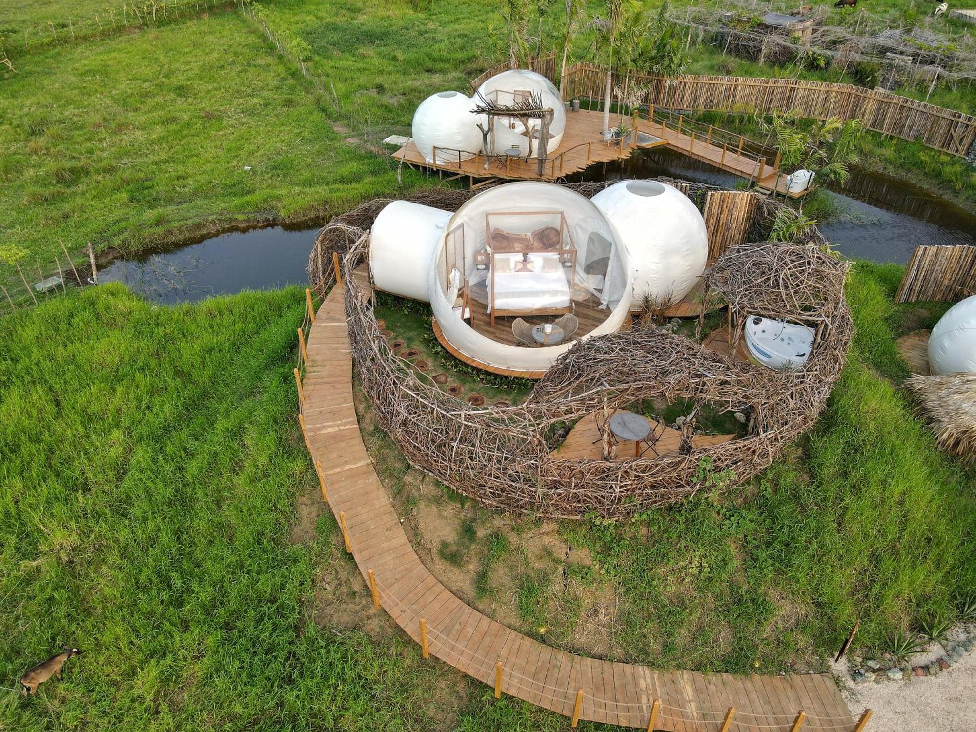 Green Land Bubble Glamping By Mint Кабарете Номер фото