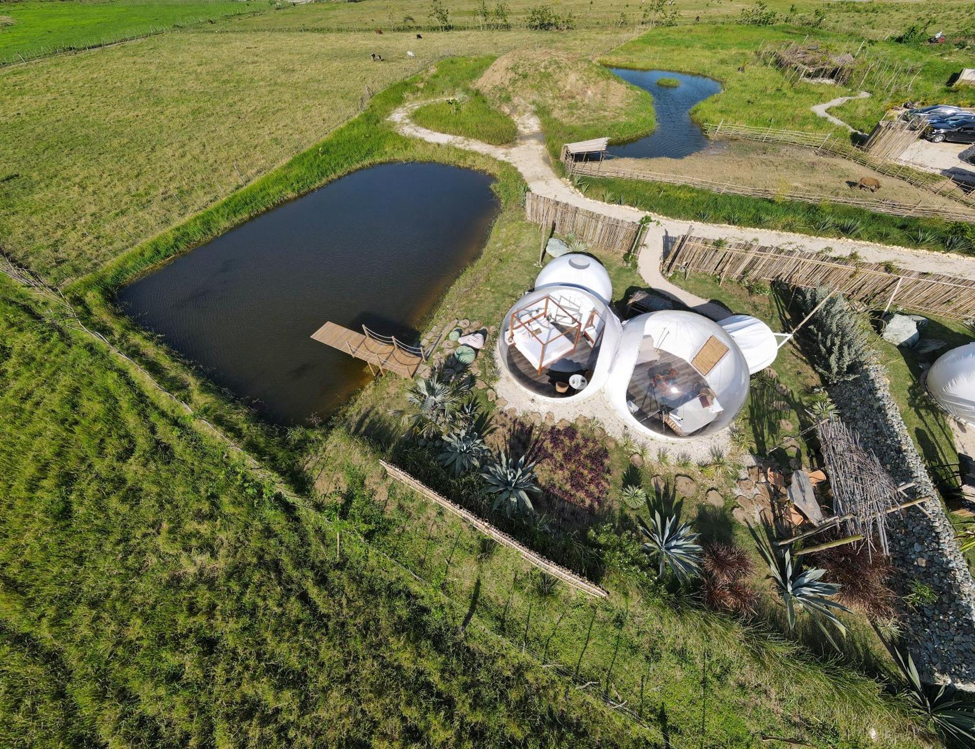 Green Land Bubble Glamping By Mint Кабарете Номер фото
