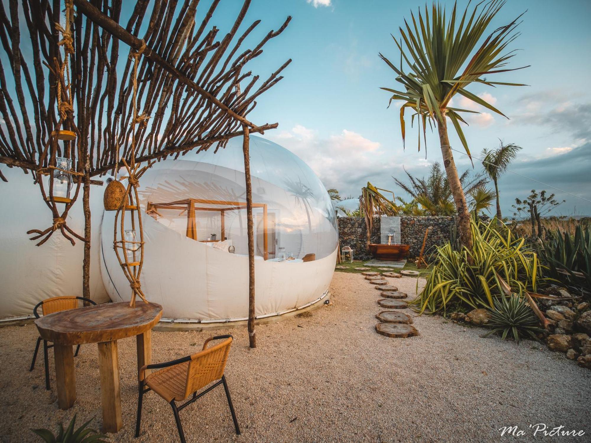 Green Land Bubble Glamping By Mint Кабарете Номер фото