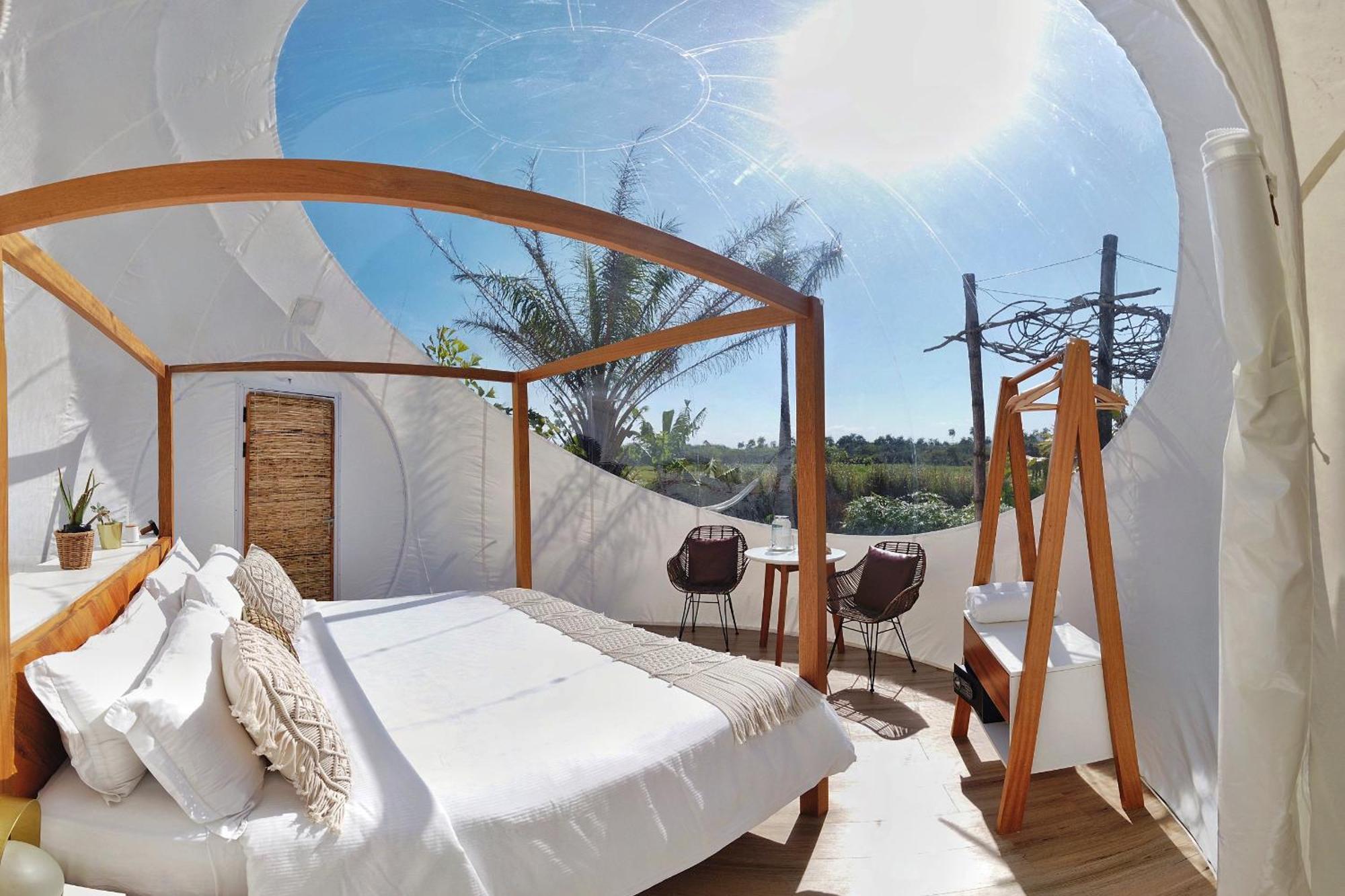 Green Land Bubble Glamping By Mint Кабарете Номер фото